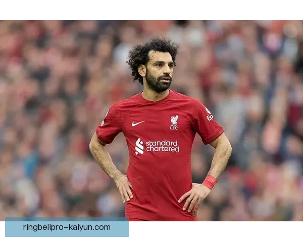 英超布伦特福德表现稳健，状态逐渐回暖值得关注